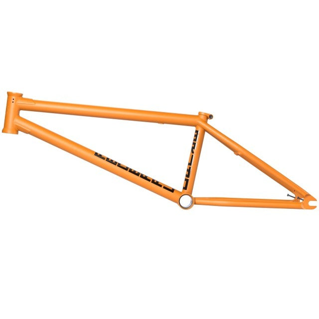 Federal Bruno Frame Bruno Hoffmann Signature