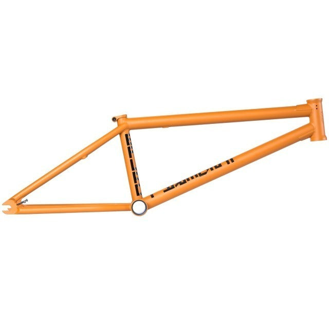 Federal Bruno Frame Bruno Hoffmann Signature