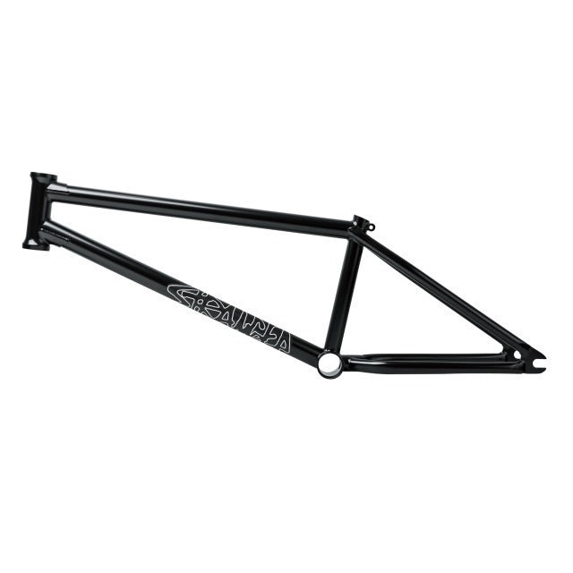 Stranger Royale Frame Eric Lichtenberger Signature