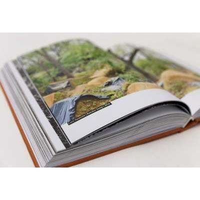 30 YEARS OF POSH WOODS