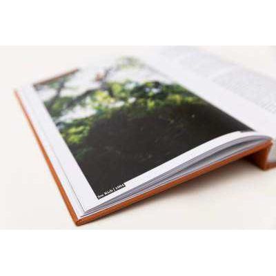 30 YEARS OF POSH WOODS