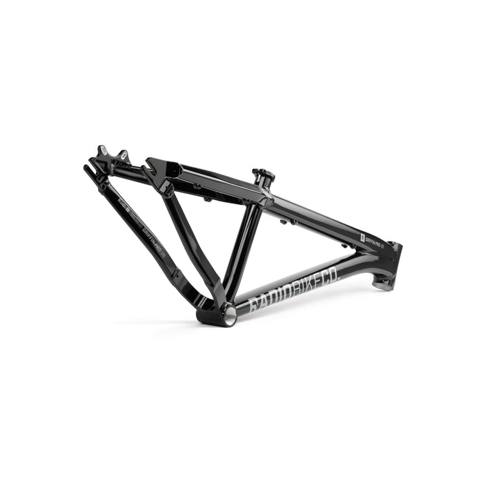 Radio Griffin Pro Frame