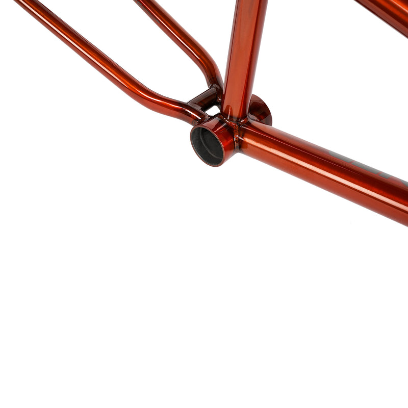 WETHEPEOPLE ARC FRAME