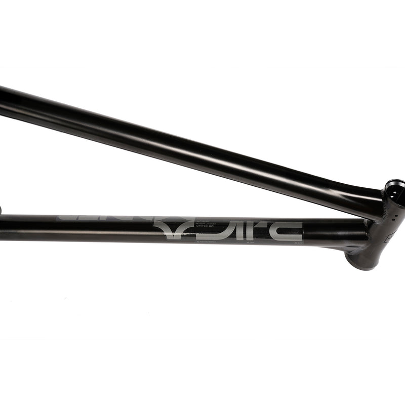 WETHEPEOPLE ARC FRAME