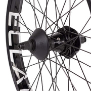ÉCLAT BONDI/CORTEX FREECOASTER rear wheel with stainless steel spokes, black nipples, and Bondi 36h alloy rim.