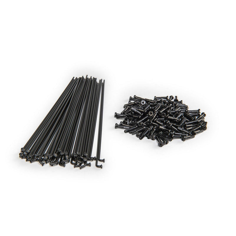 ÉCLAT PG plain gauge spokes with black brass nipples, stainless steel, strong and durable.