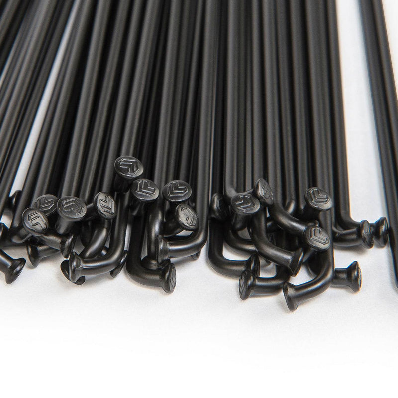 Black stainless steel ÉCLAT PG (Plain Gauge) spokes with embossed logo and brass nipples for bicycle wheels.