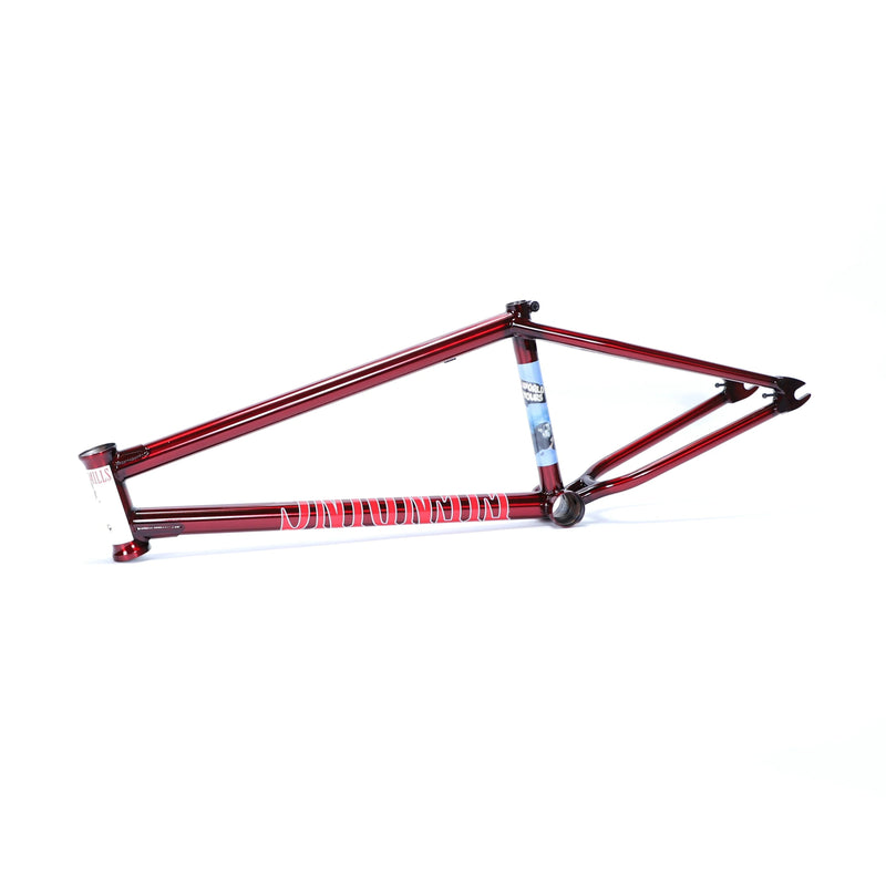 FIEND MILLS BMX FRAME