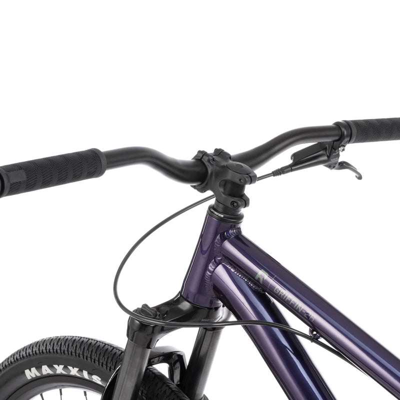 RADIO GRIFFIN COMPLETE BIKE