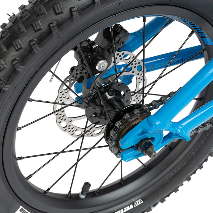 RADIO ZUMA 16 COMPLETE BIKE