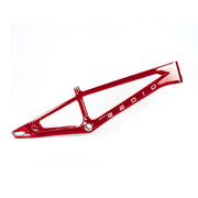 Radio Race TERRA DISC PRO XXL Frame