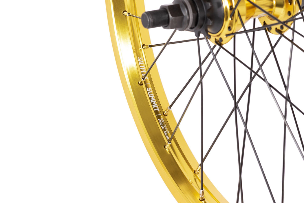 Salt Everest Cassette Rear Wheel