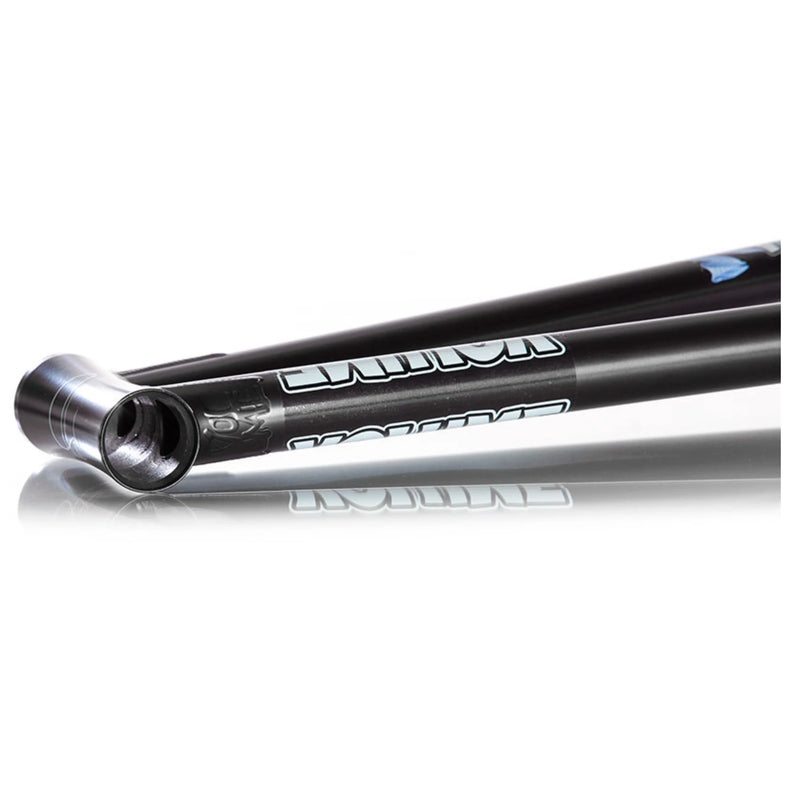 JARREN BARBOZA VISA VOLUME FRAME