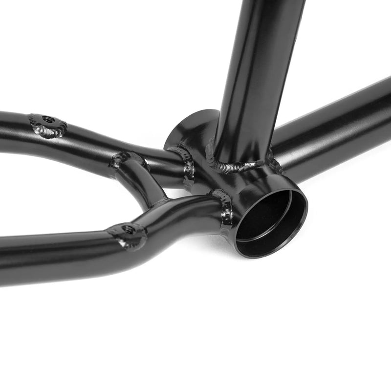 People's Store WETHEPEOPLE CHAOS MACHINE 22 FRAME /TYSON JONES-PENI SIGNATURE