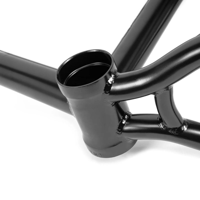 People's Store WETHEPEOPLE CHAOS MACHINE 22 FRAME /TYSON JONES-PENI SIGNATURE