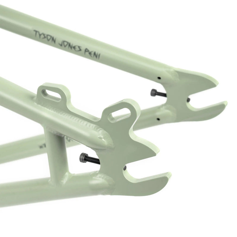 People's Store WETHEPEOPLE CHAOS MACHINE 22 FRAME /TYSON JONES-PENI SIGNATURE