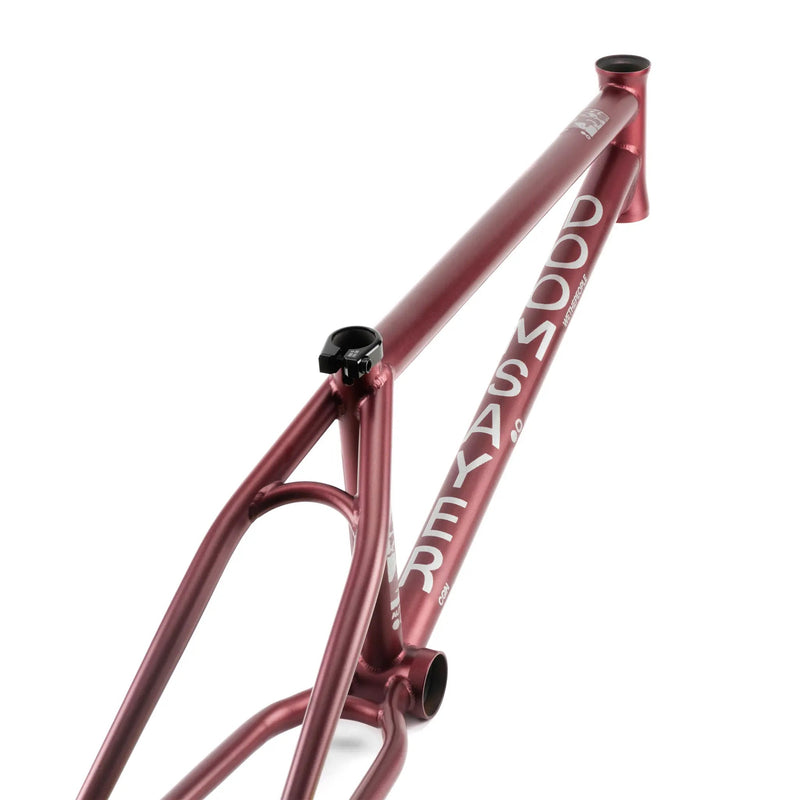 People's Store WETHEPEOPLE DOOMSAYER FRAME "JORDAN GODWIN" SIGNATURE