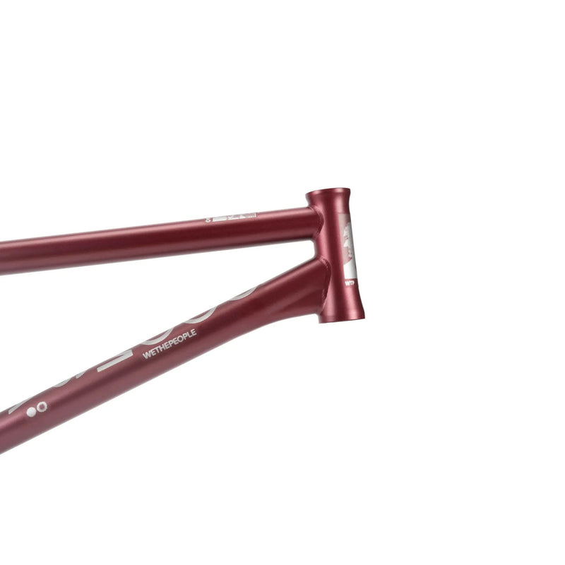 People's Store WETHEPEOPLE DOOMSAYER FRAME "JORDAN GODWIN" SIGNATURE