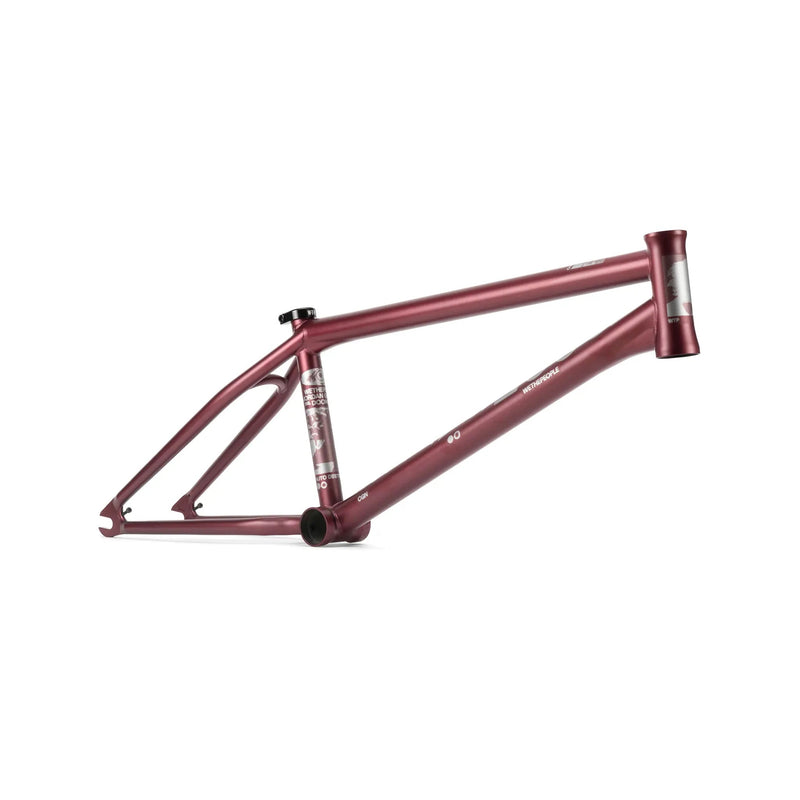 People's Store WETHEPEOPLE DOOMSAYER FRAME "JORDAN GODWIN" SIGNATURE