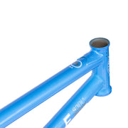 People's Store WETHEPEOPLE BUCK FRAME "DILLON LLOYD" SIGNATURE