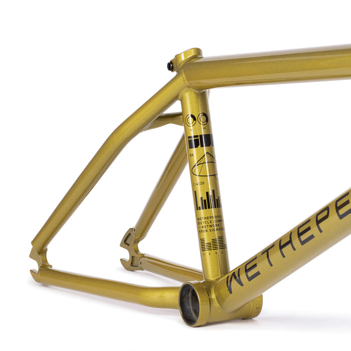 WETHEPEOPLE NETWORK FRAME Dan Kruk Signature BMX Frame