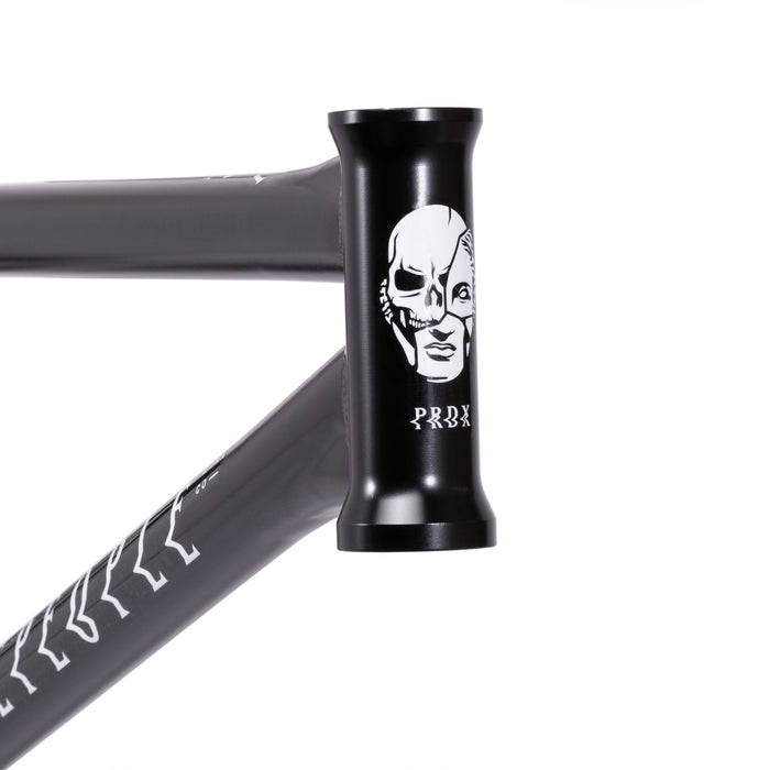 Wethepeople Paradox Frame