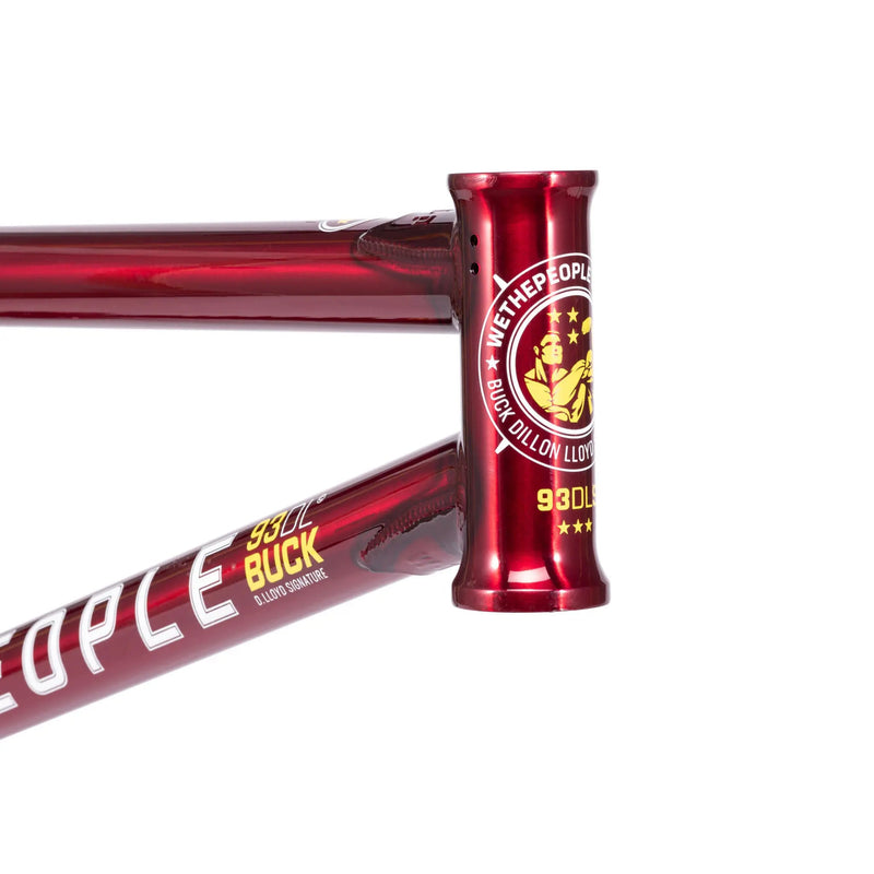 People's Store WETHEPEOPLE BUCK FRAME "DILLON LLOYD" SIGNATURE