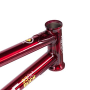 People's Store WETHEPEOPLE BUCK FRAME "DILLON LLOYD" SIGNATURE