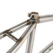 People's Store WETHEPEOPLE CHAOS MACHINE 20 FRAME / TYSON JONES-PENI SIGNATURE