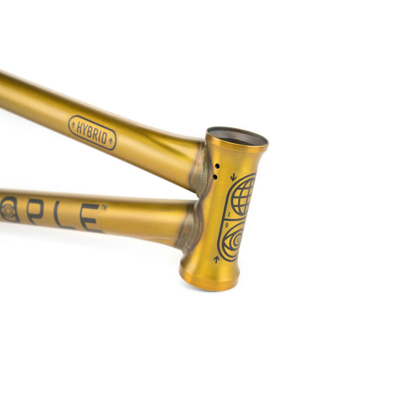 People's Store WETHEPEOPLE UTOPIA HYBRID FRAME