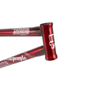 Close-up of WETHEPEOPLE TRIGGER FRAME in matt trans red with Stephan Atencio signature colorway and logo on the head tube and top tube.