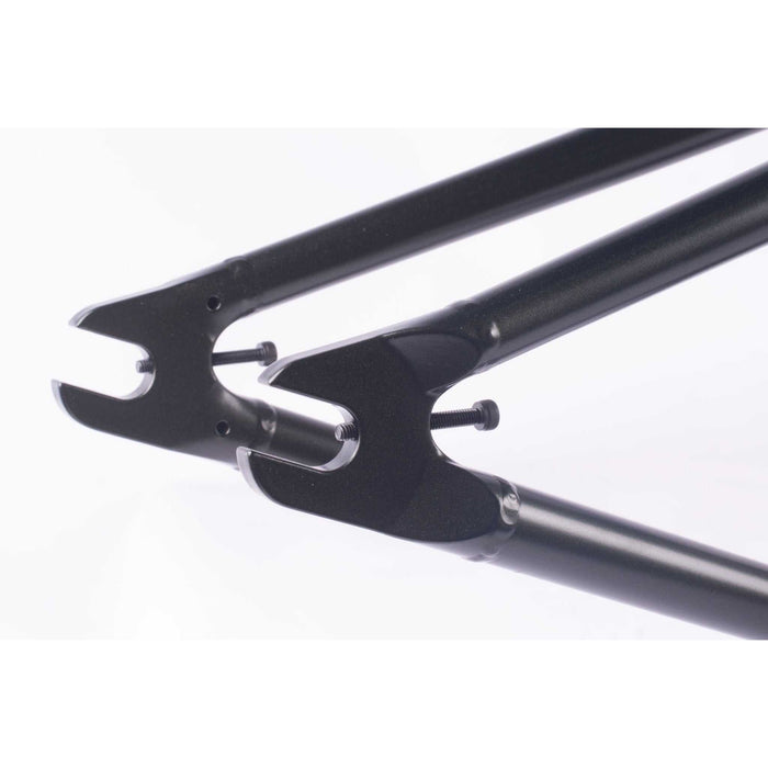 CULT MAX VU BIGGIE FRAME