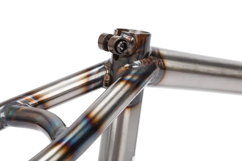BSD STEEZE  BMX FRAME