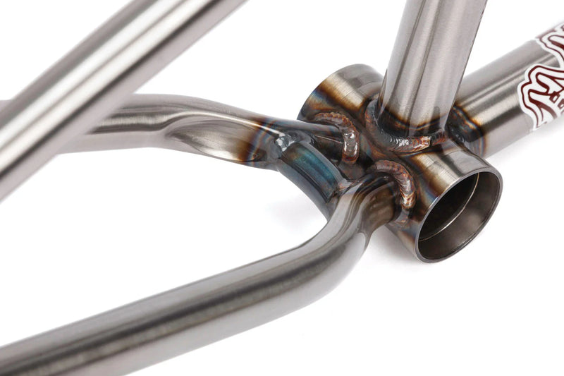 BSD STEEZE  BMX FRAME
