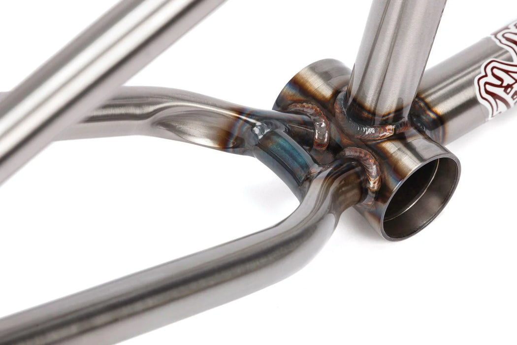BSD STEEZE  BMX FRAME