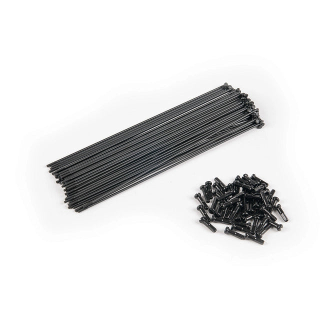ÉCLAT DB double butted Spokes incl. Nipples, 40pcs
