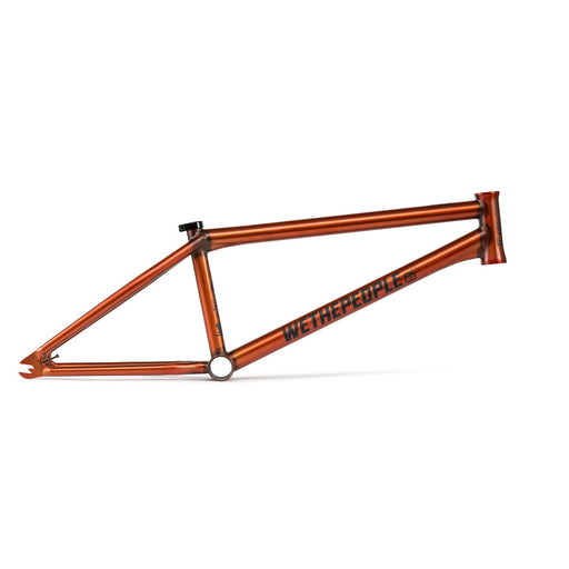 People's Store WETHEPEOPLE DOOMSAYER FRAME "JORDAN GODWIN" SIGNATURE