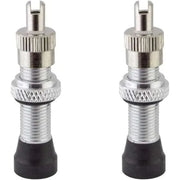 Pair of Alienation tubeless valves with removable cores and black and silver anodized finish