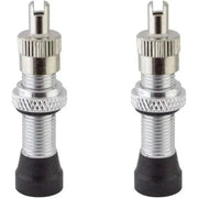 Pair of ALIENATION VALVE tubeless bicycle valves with removable core and black silver anodize finish