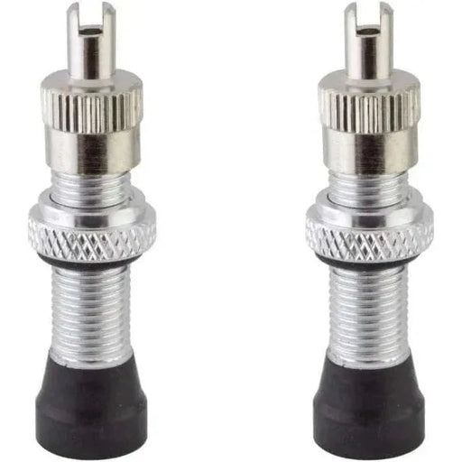 Pair of ALIENATION VALVE tubeless bicycle valves with removable core and black silver anodize finish
