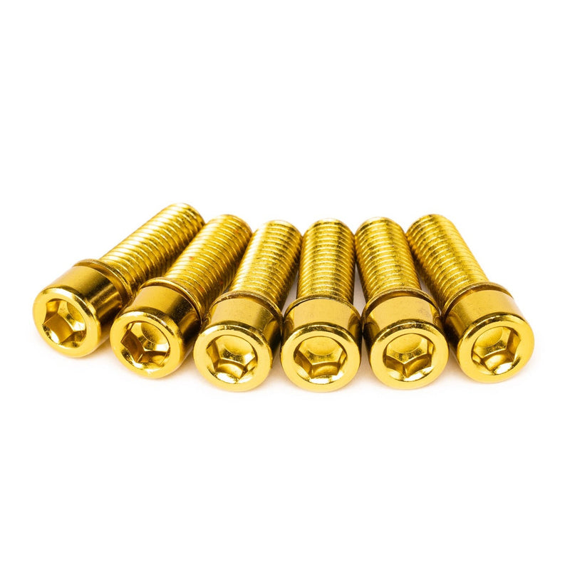 SALT SOLID STEM BOLTS in gold color, high-quality steel, 6mm hex, large head (M8x25mm).